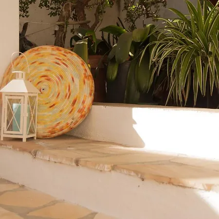 Sotza's Little House * Padru